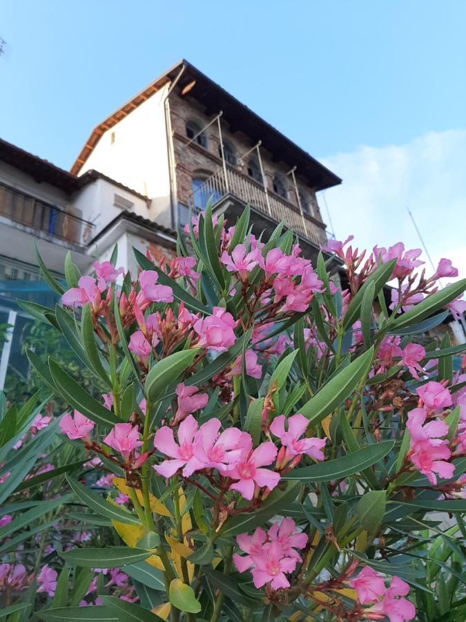 Le Case Di Angelina - Langhe Loft & Suites Farigliano Екстер'єр фото